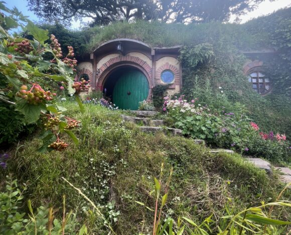 New Zealand Travel Guide